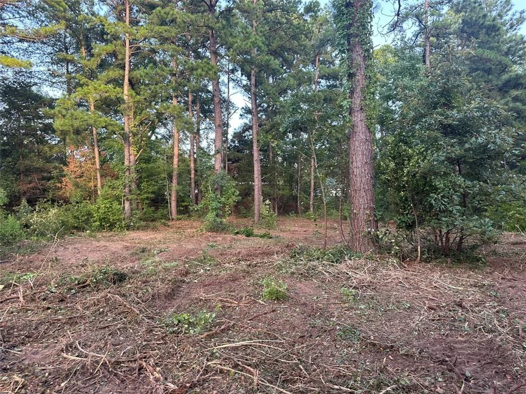 Photo of TBD Lot 9 C R 386