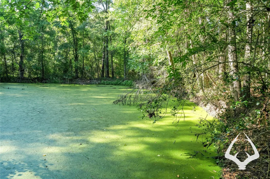 Photo of 00 Hwy 69