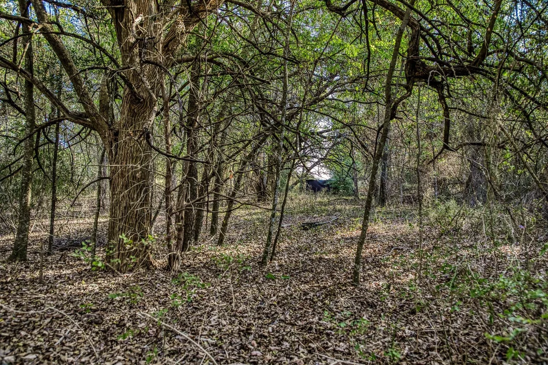 Photo of 460 County Road 328