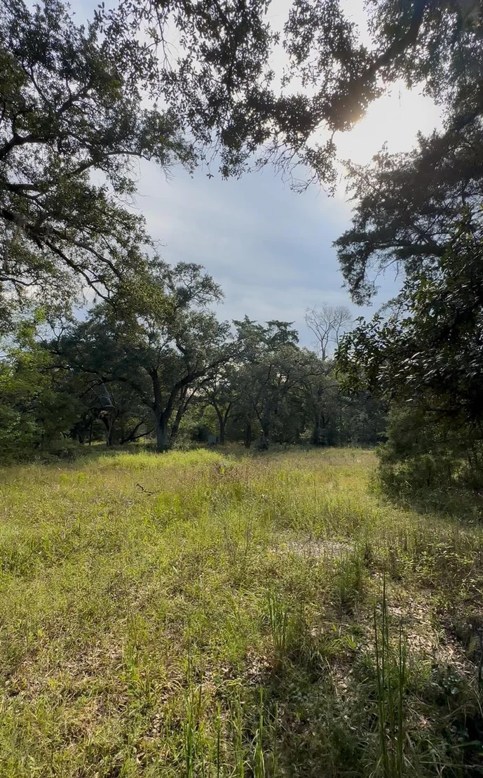 Photo of 0 Fm-1459