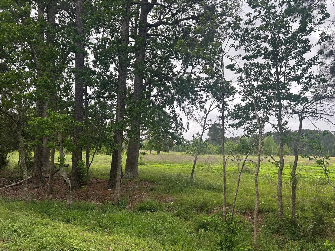 Photo of Lot 2 Minnie West Rd
