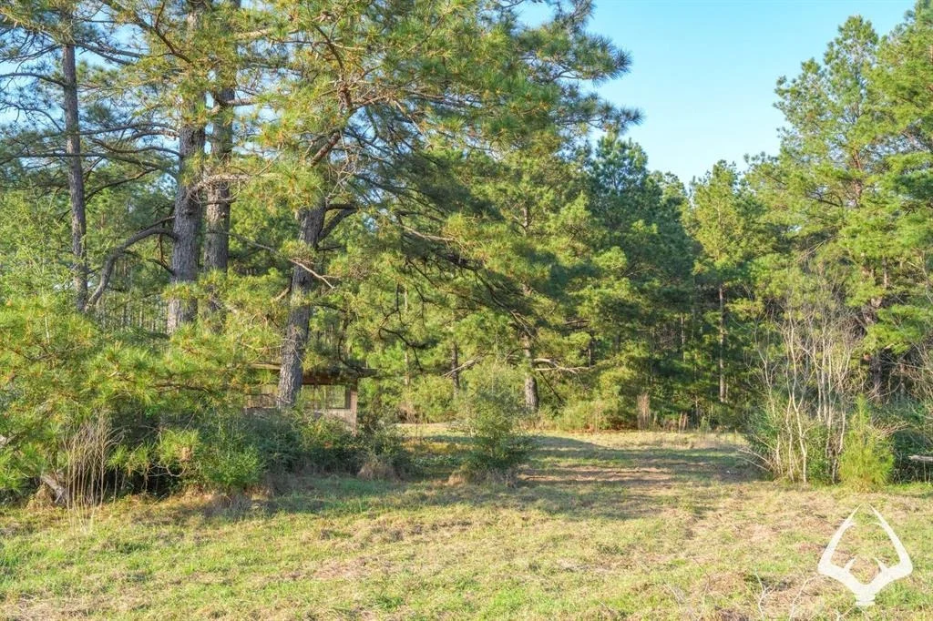 Photo of 850 County Road 4390