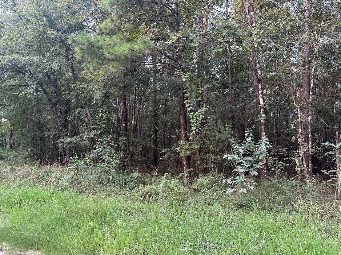 Photo of 2103 Jenkins Road