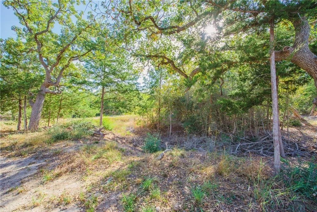 Photo of 551 Boysenberry Road