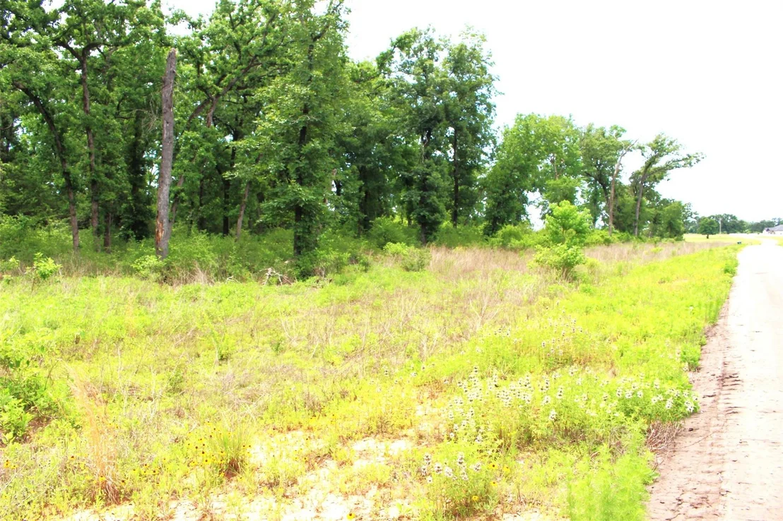 Photo of Tract 174 Pr 1311