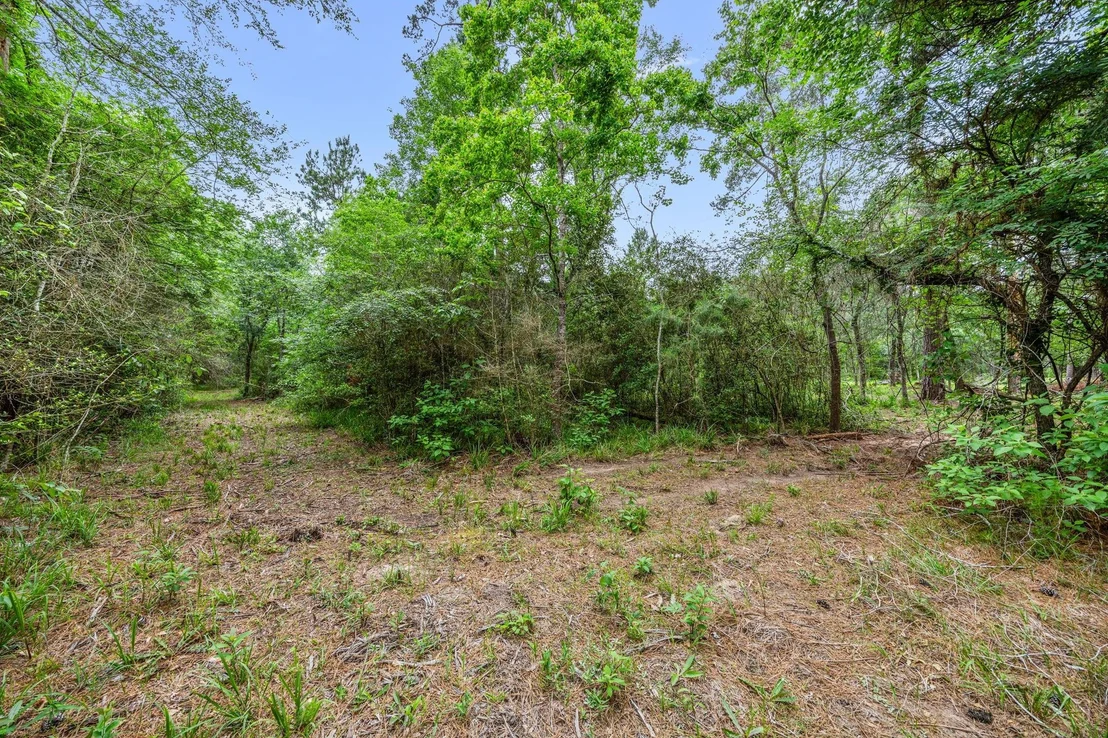 Photo of 26020 Pine Shadows Drive