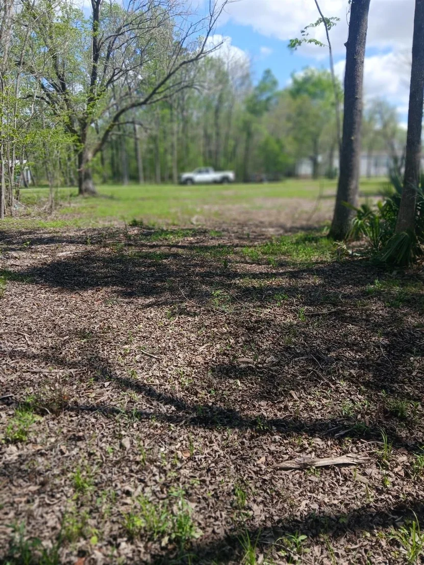 Photo of 248 County Road 185
