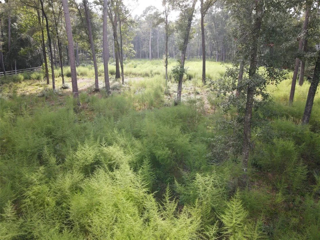 Photo of 11313 Lake Forest Drive