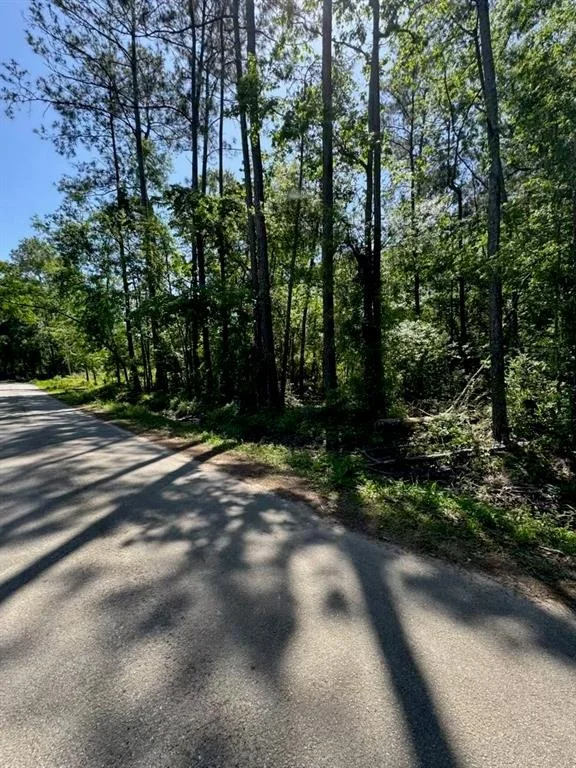 Photo of 166 County Road 3475