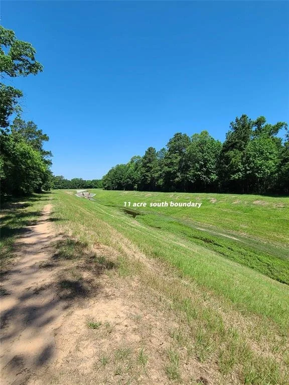 Photo of 411 Springwood Drive