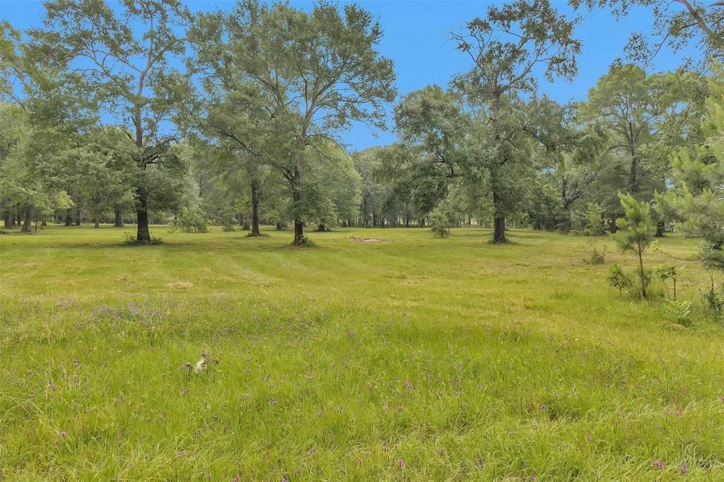 Photo of 10186 Calvary Road