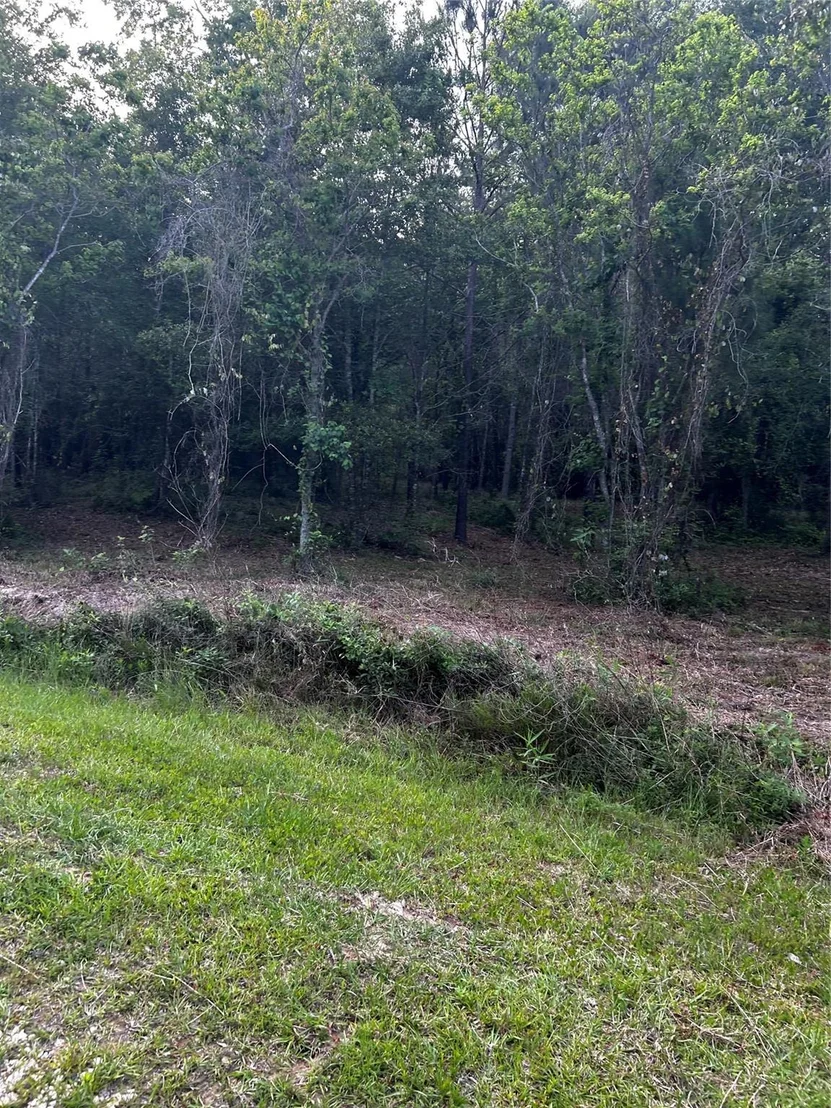 Photo of 0 County Line Road