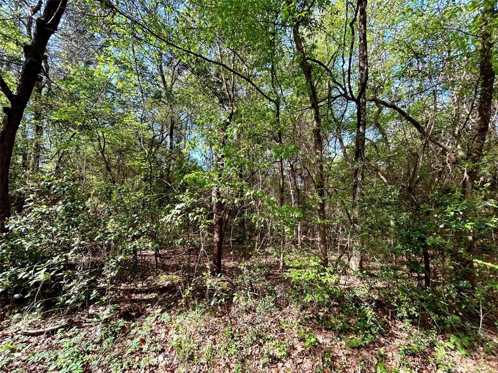 Photo of TBD Copperhead Road