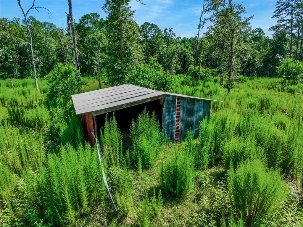 Photo of 26402 Clark Road