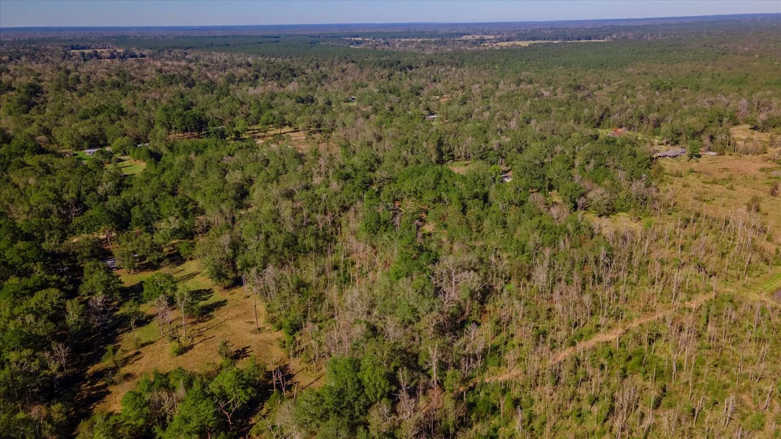 Photo of 1234 County Road 2145