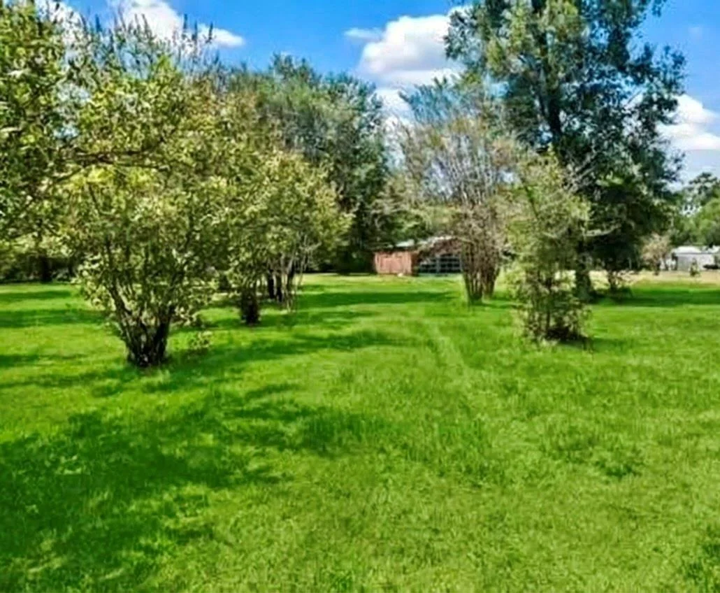 Photo of 160 County Road 6498