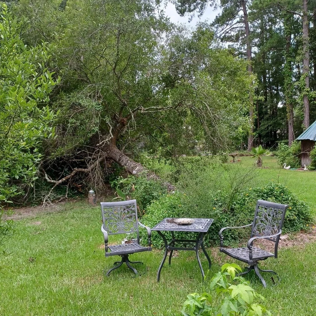 Photo of 755 Evangeline Drive