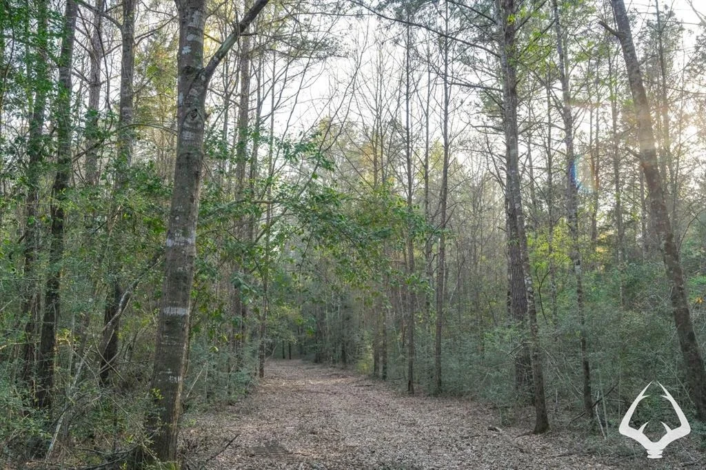 Photo of 850 County Road 4390