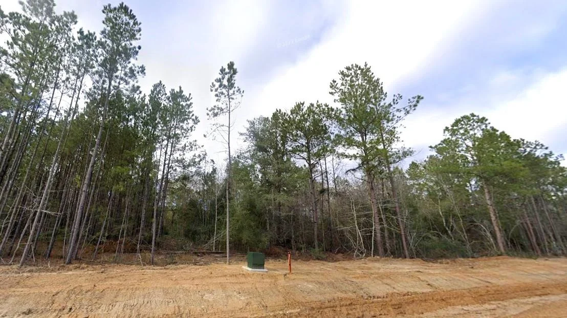Photo of 11652 Grand North Road