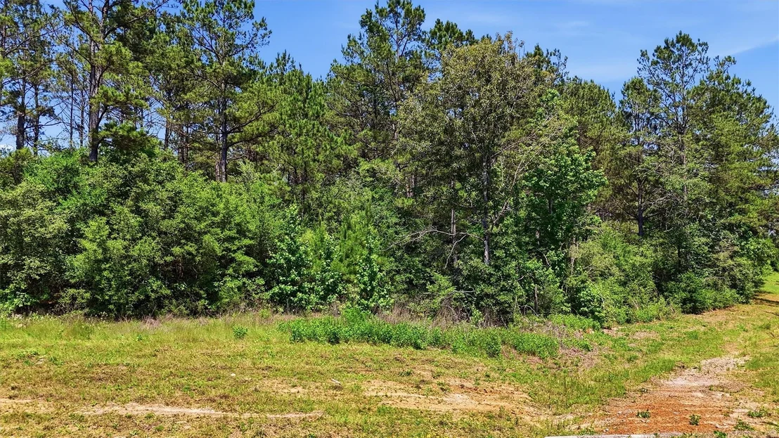 Photo of 15388 Forest Grove Drive
