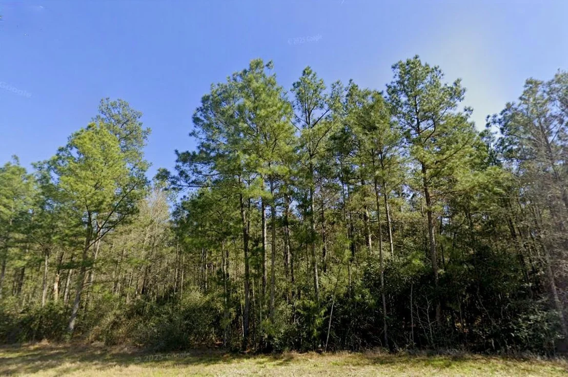 Photo of 12016 Dawn Tree Lane