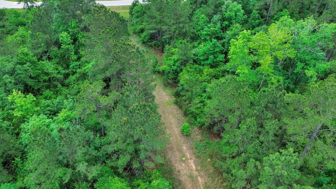 Photo of 10517 Single Shot Lane