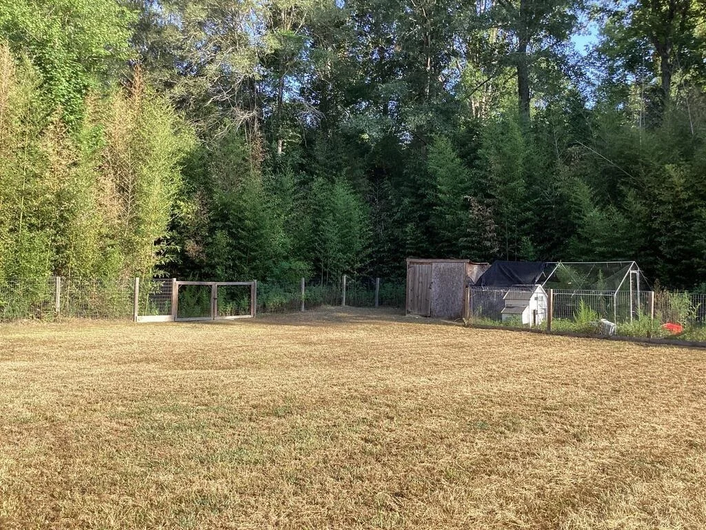 Photo of 1125 County Road 3075