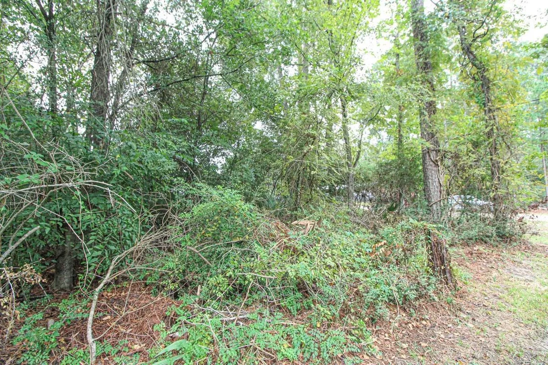 Photo of 345 Cherokee Lane