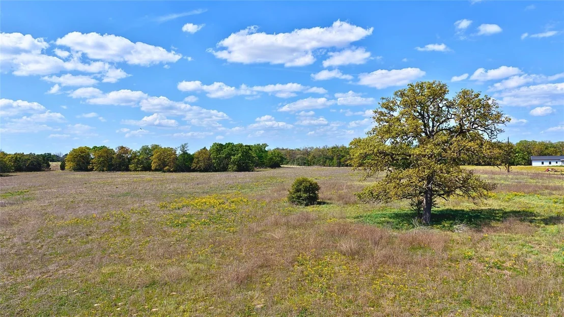 Photo of TBD Legacy Road - Over 5 Acres