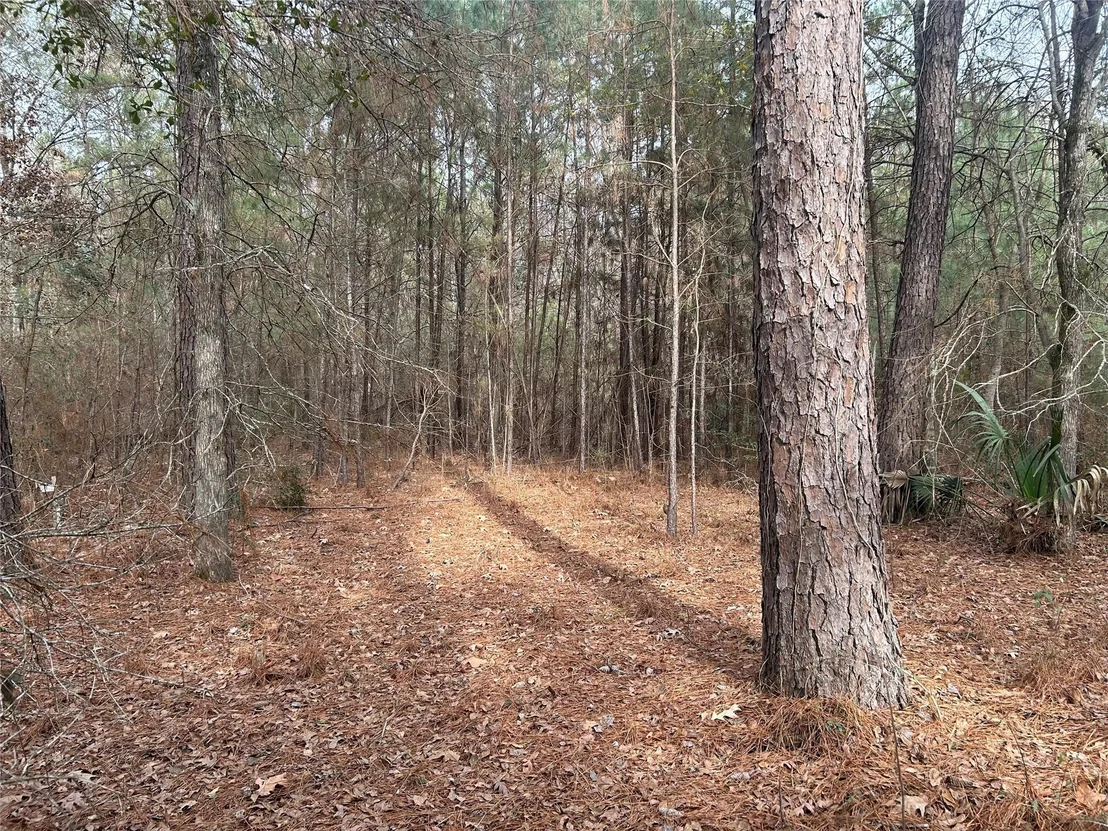 Photo of 19043 Miranda Drive