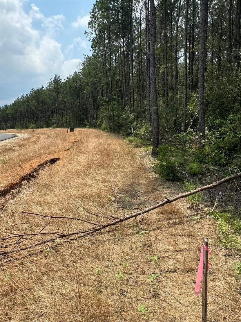 Photo of 10634 Forest Mill Road