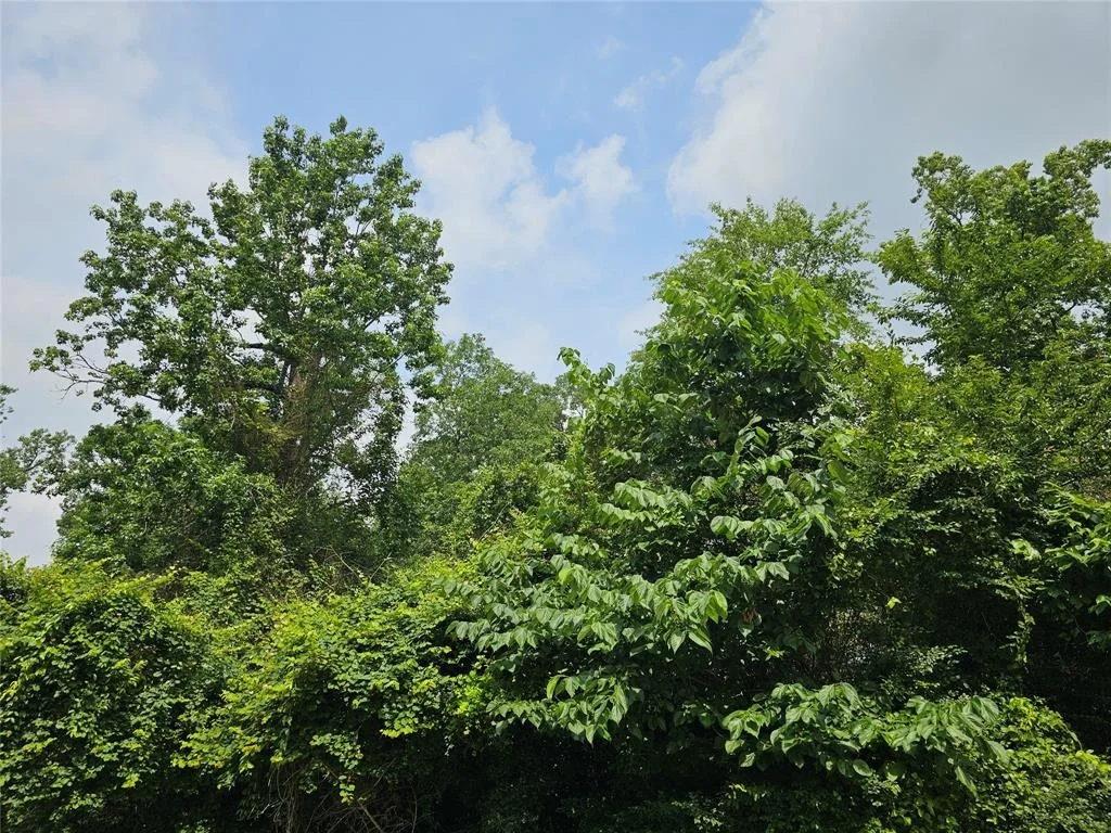 Photo of 3&4 Broadmoor Court