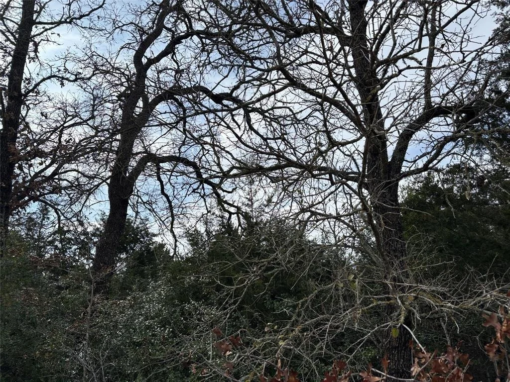 Photo of Lot 64 Shadow Oaks Drive