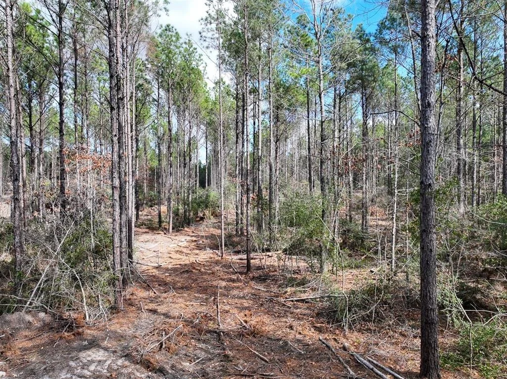 Photo of TBD Off Fm 355