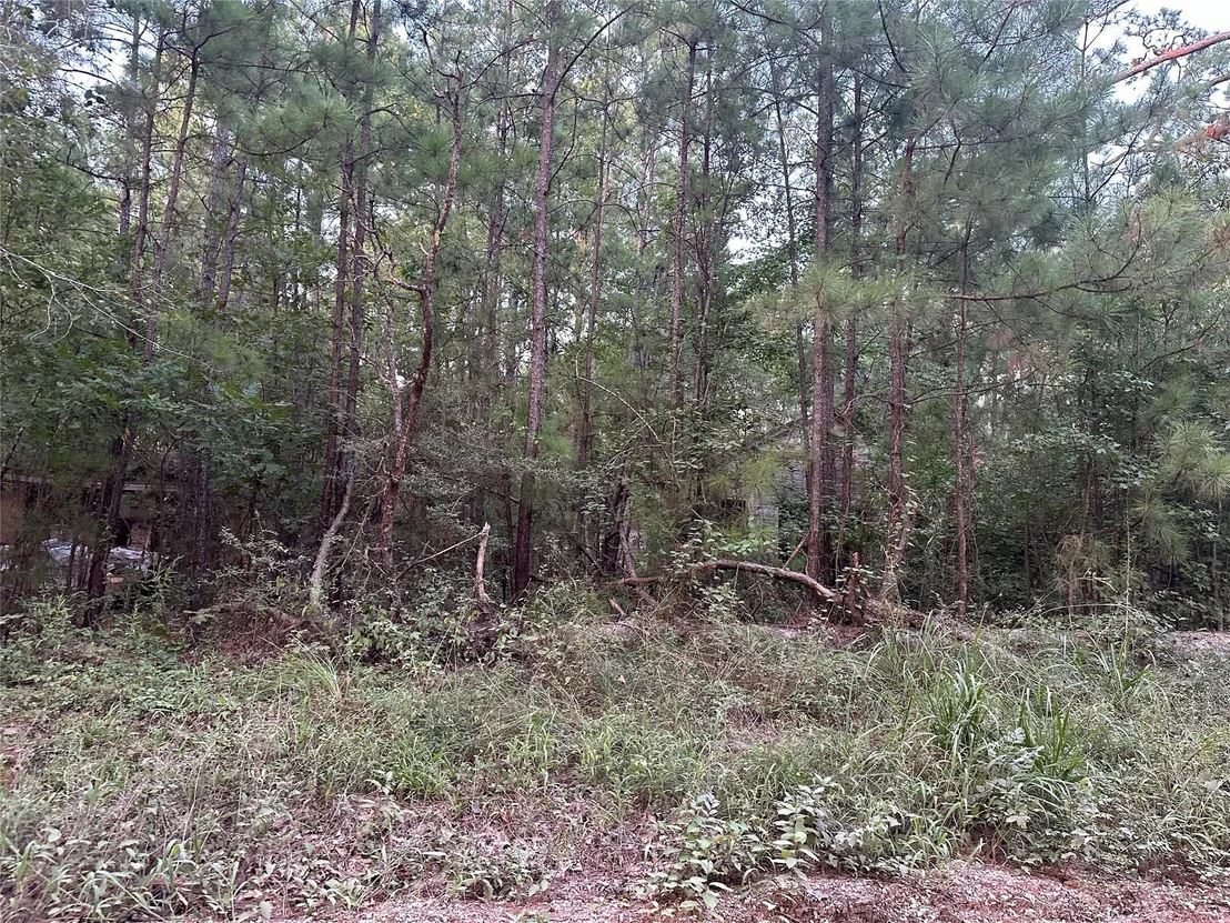 Photo of 2103 Jenkins Road