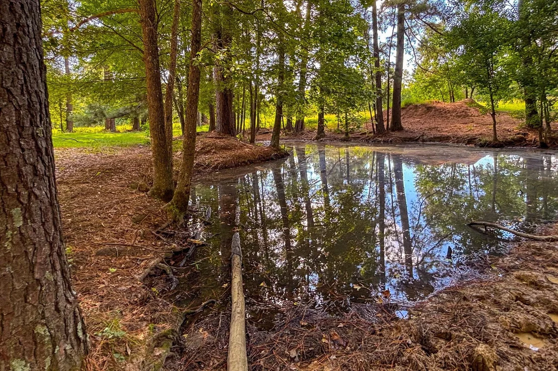 Photo of 1533 County Road 348