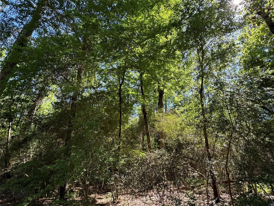 Photo of 28 Laurel Oak