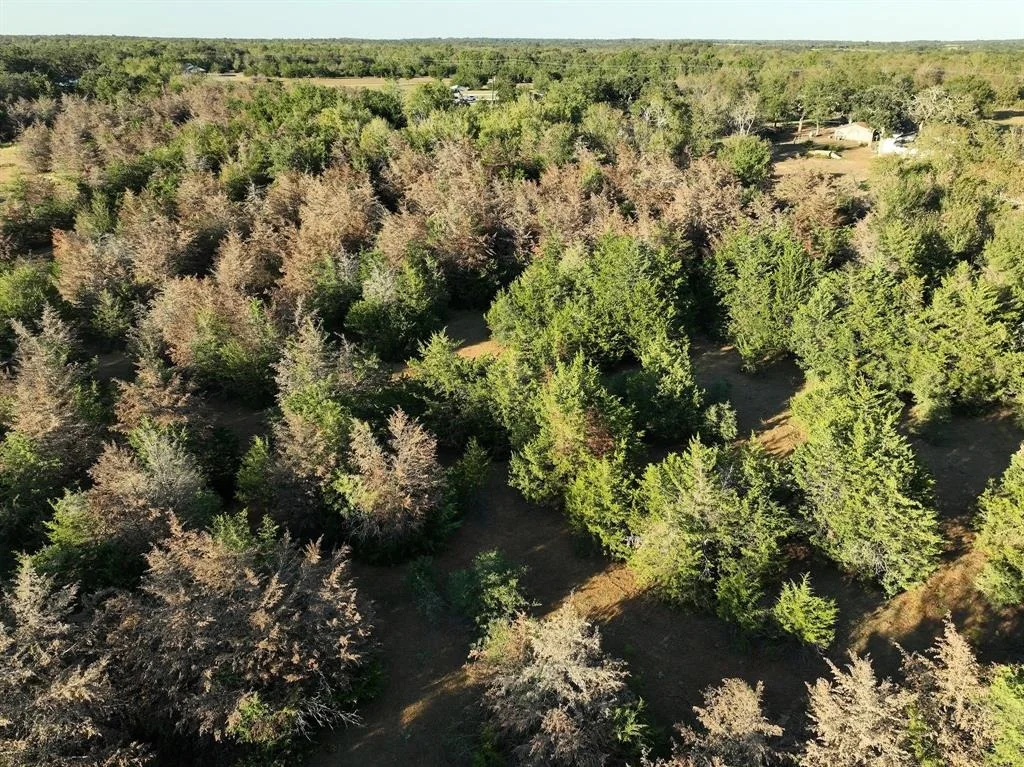 Photo of 8315 County Road 315