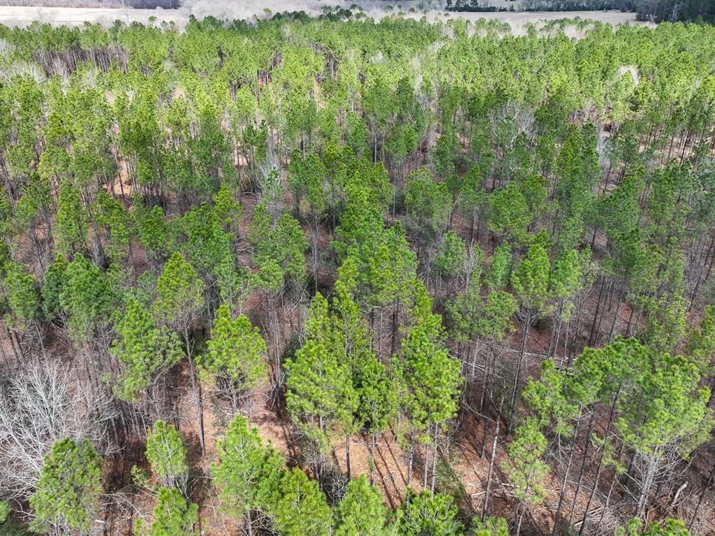 Photo of TBD Off Fm 355