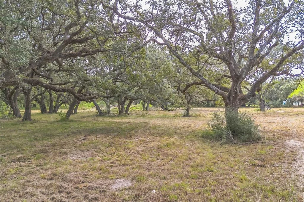 Photo of 2932 County Road 126
