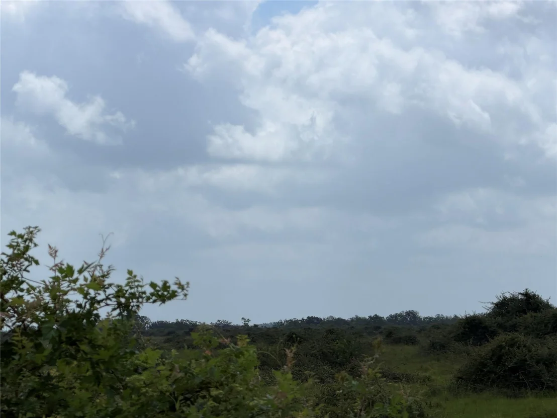 Photo of 0 Fm 616