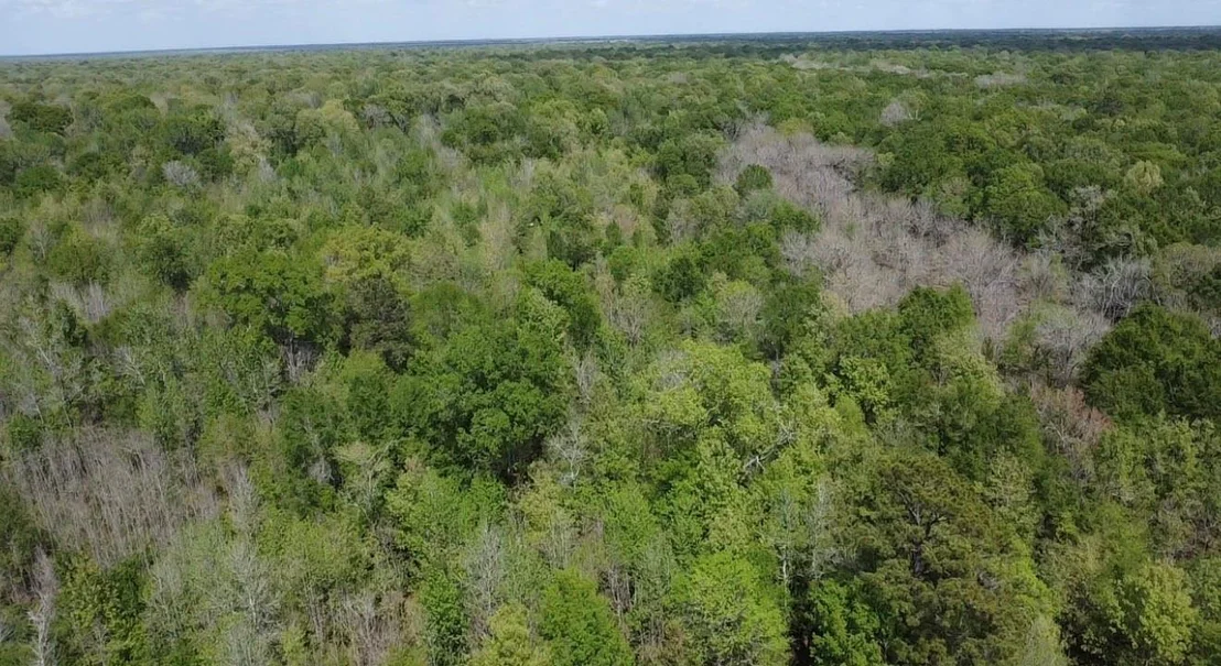 Photo of 7571 County Road 2252