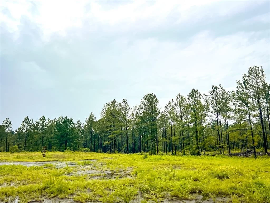 Photo of 02 Cr 258