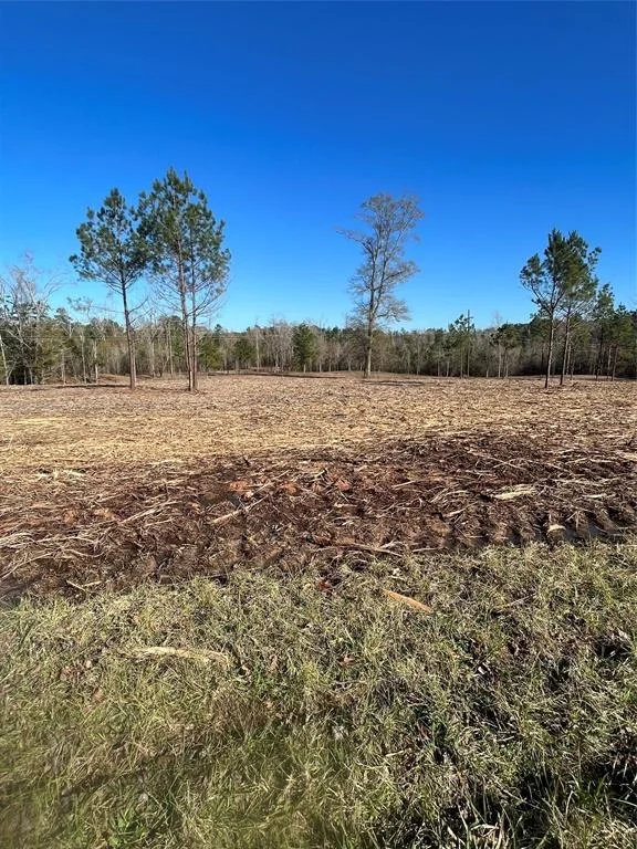Photo of 10975 Highway 96 South