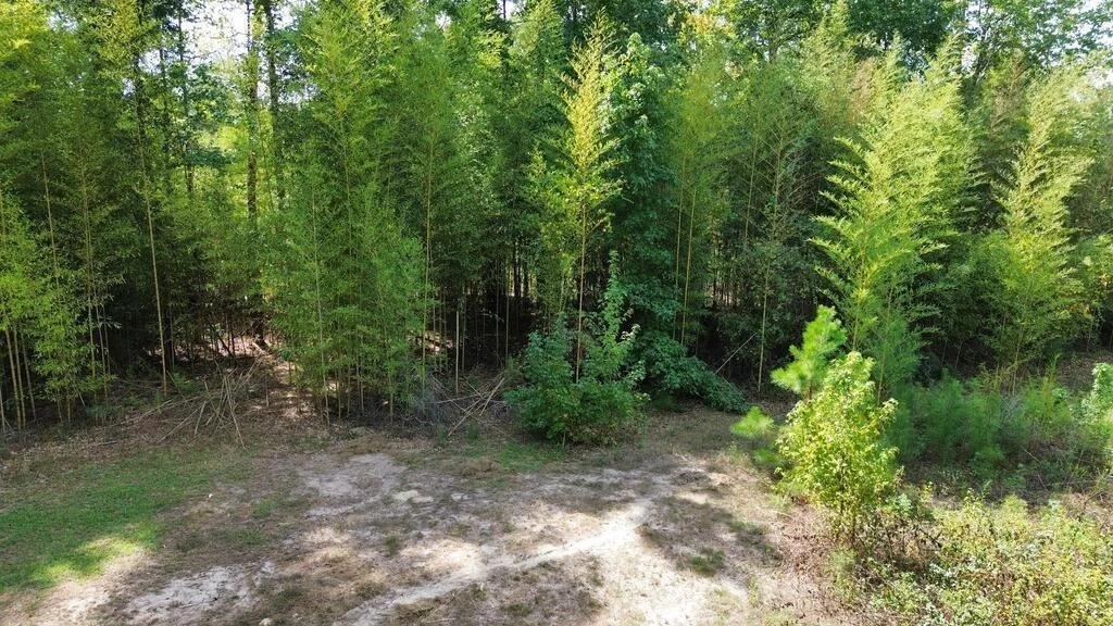Photo of 1156 County Road 2132