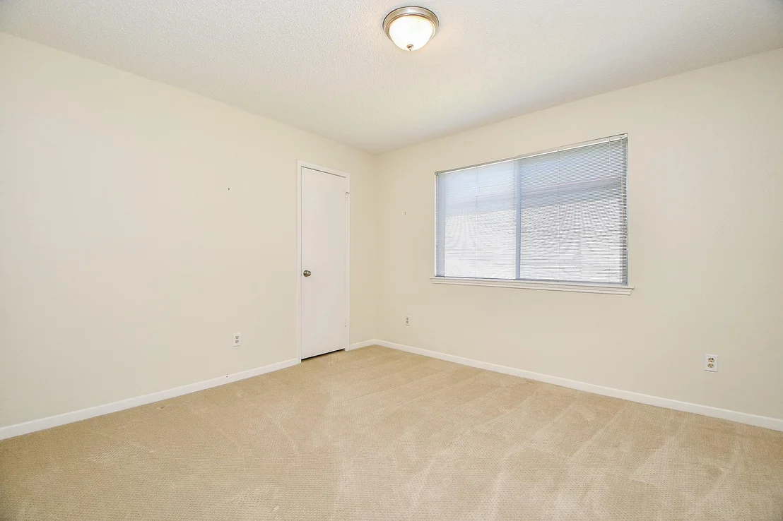 Photo of 10743 Braes Forest Drive