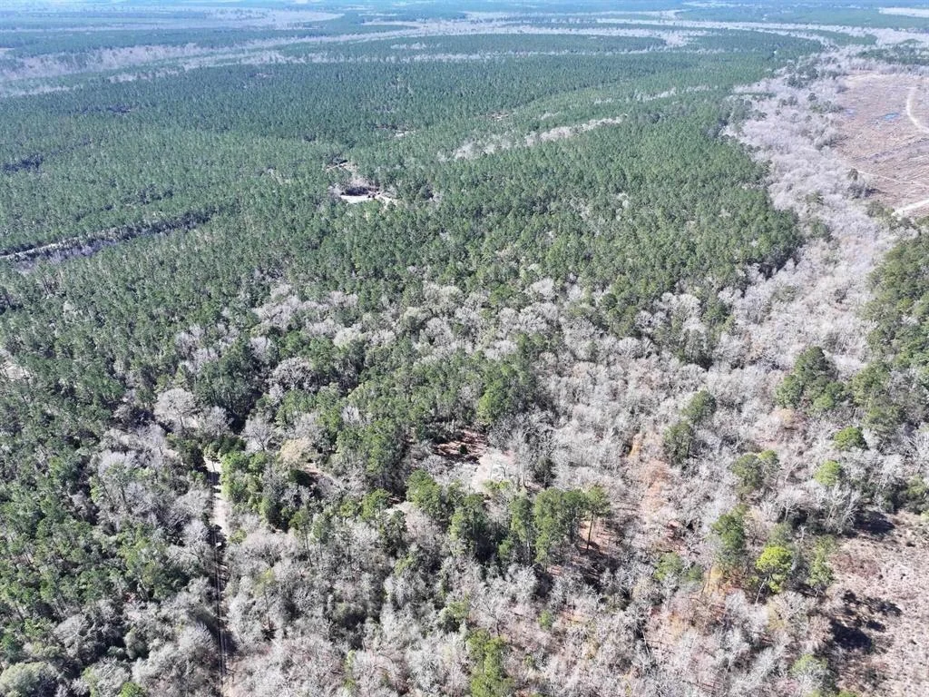 Photo of 422 County Road 4088