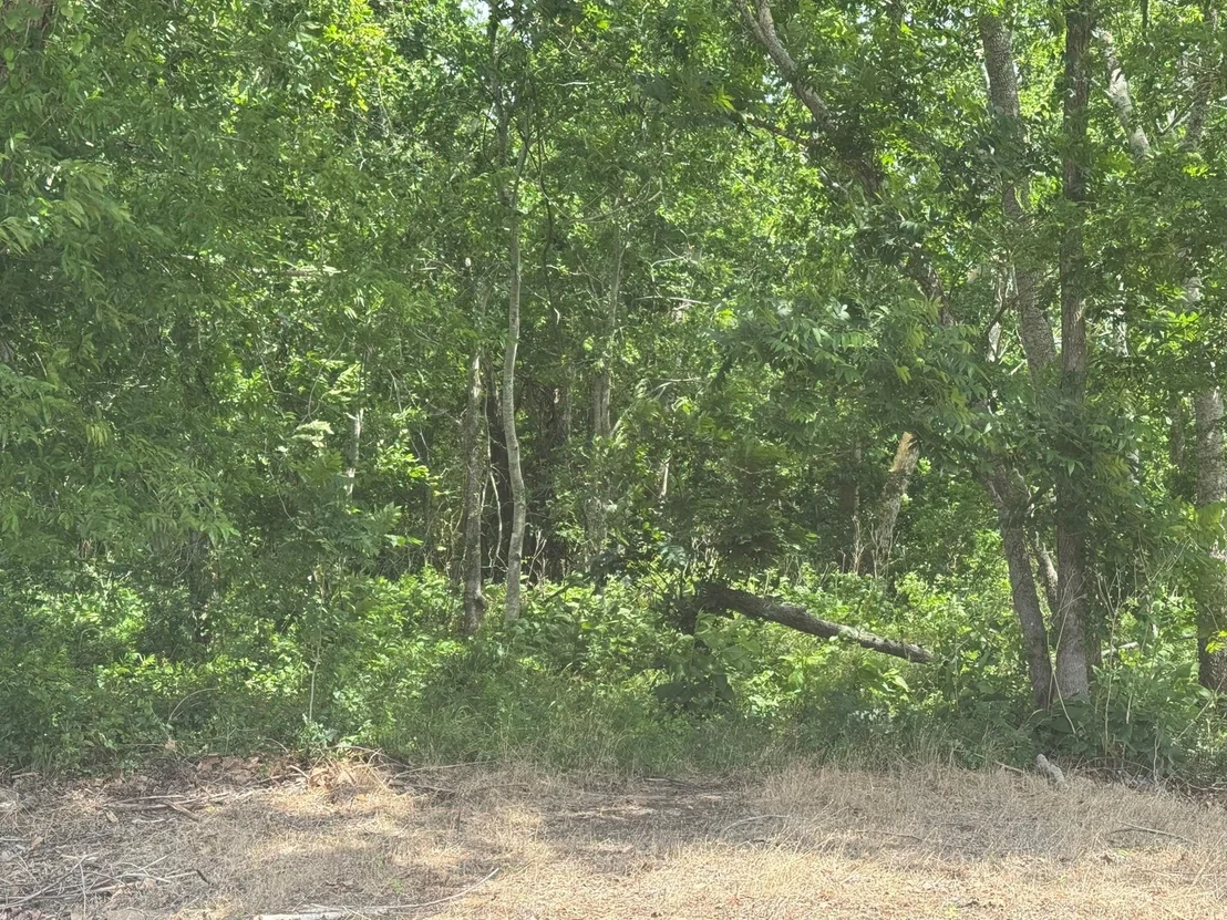 Photo of 214 County Road 230