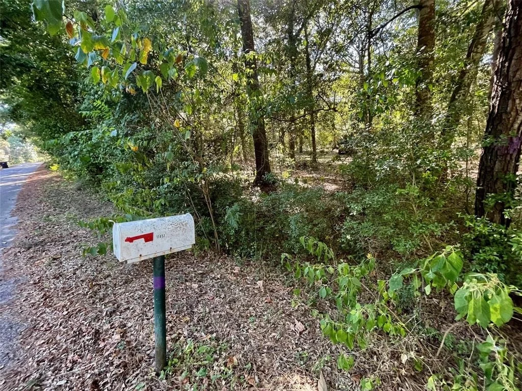 Photo of 11451 White Road