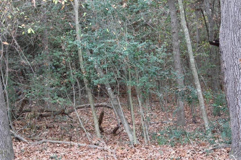 Photo of 225 Dailey Road